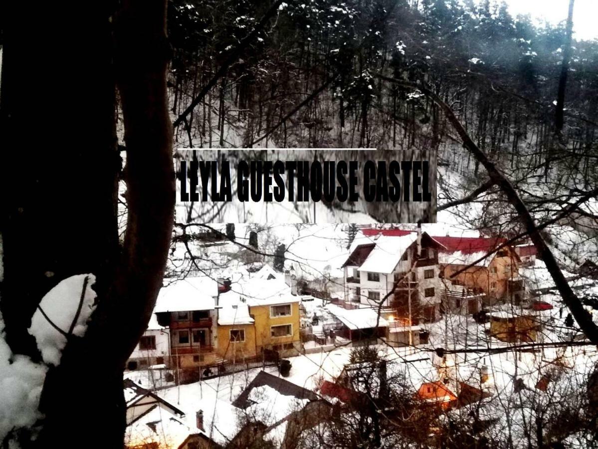 Leyla Guesthouse Castel ブラショフ エクステリア 写真