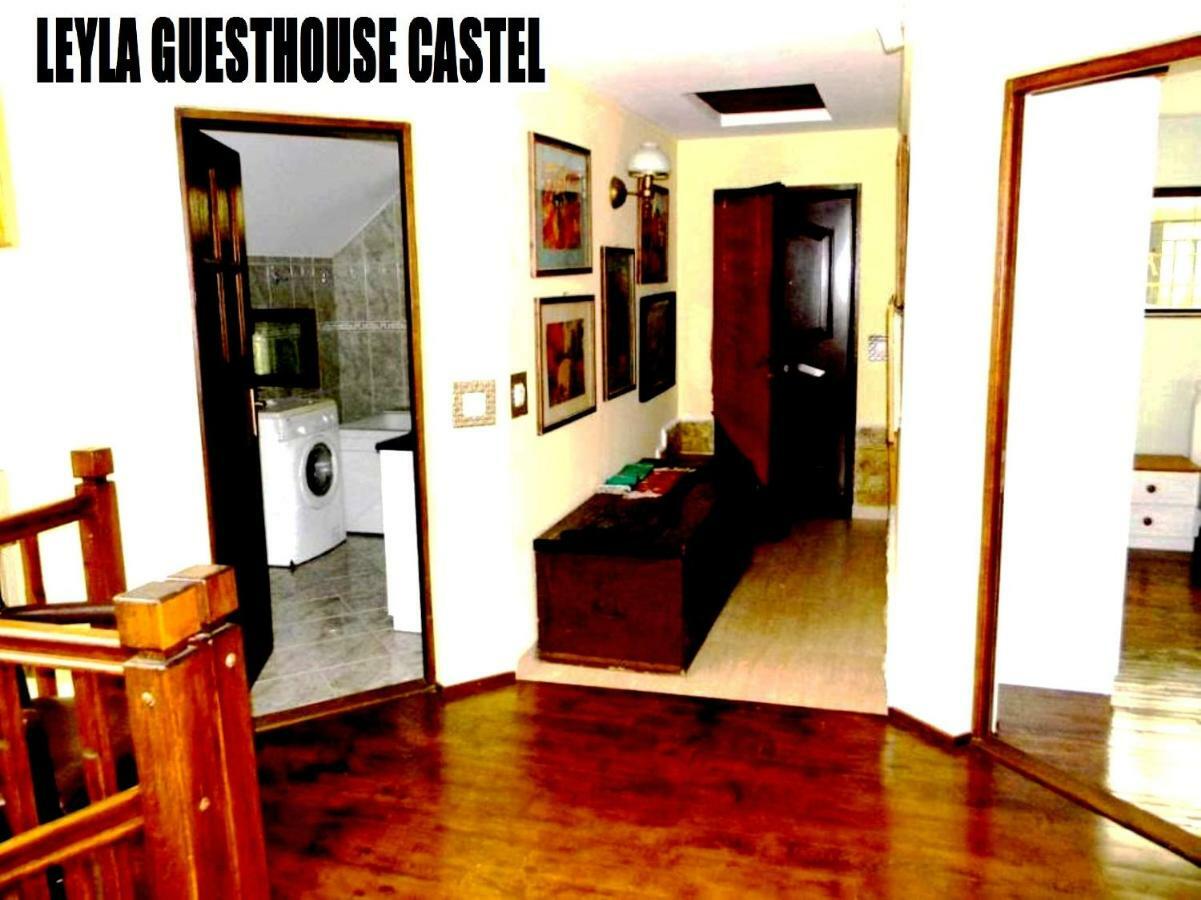 Leyla Guesthouse Castel ブラショフ エクステリア 写真