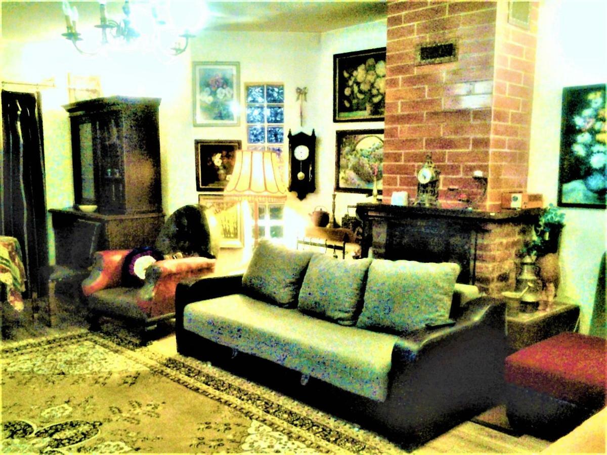 Leyla Guesthouse Castel ブラショフ エクステリア 写真
