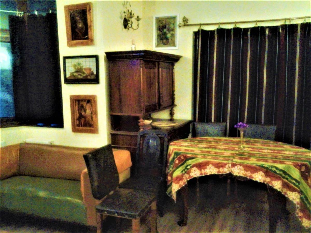 Leyla Guesthouse Castel ブラショフ エクステリア 写真