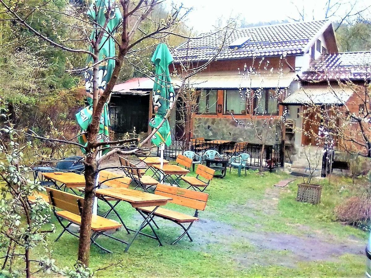 Leyla Guesthouse Castel ブラショフ エクステリア 写真