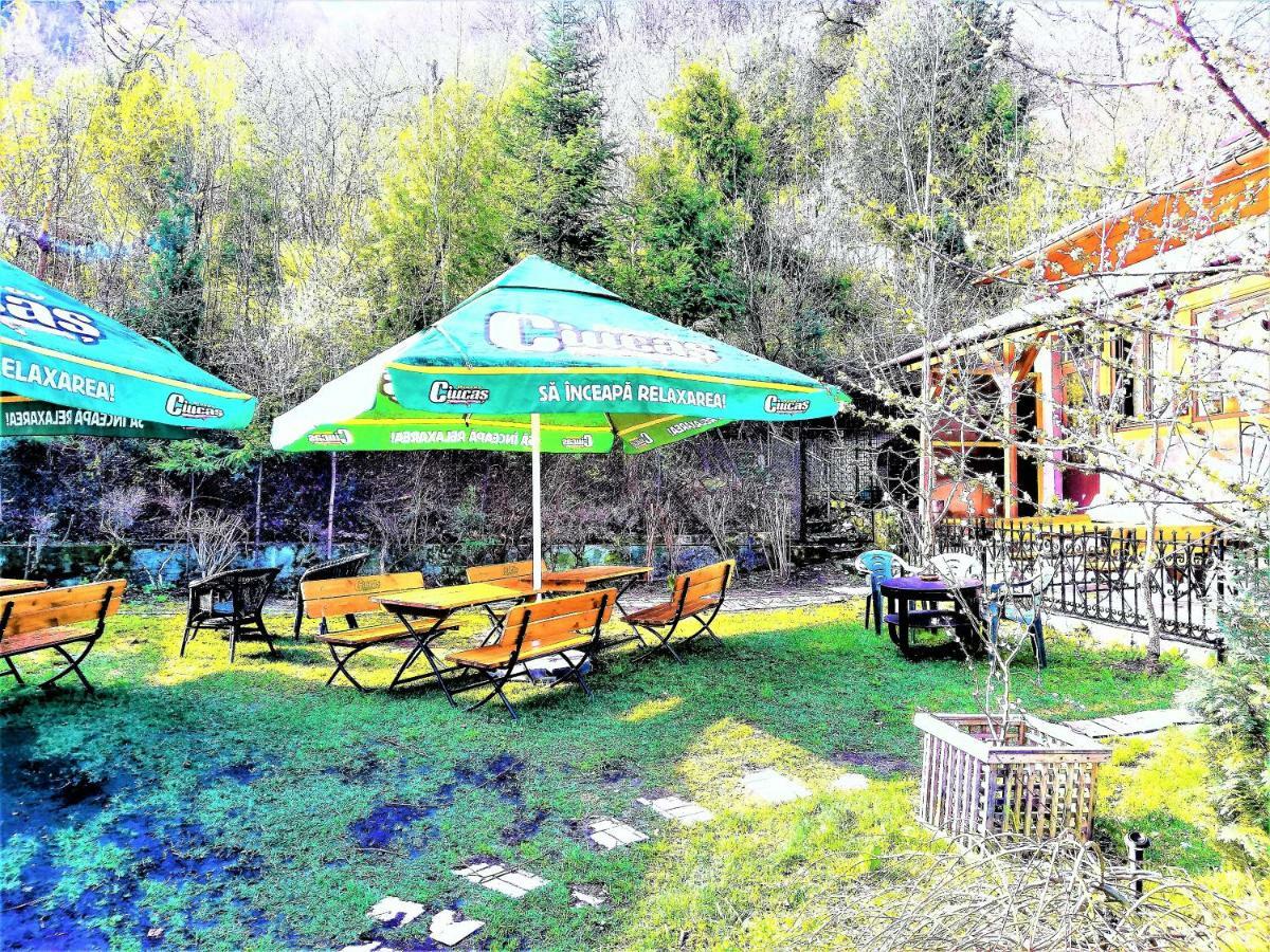 Leyla Guesthouse Castel ブラショフ エクステリア 写真