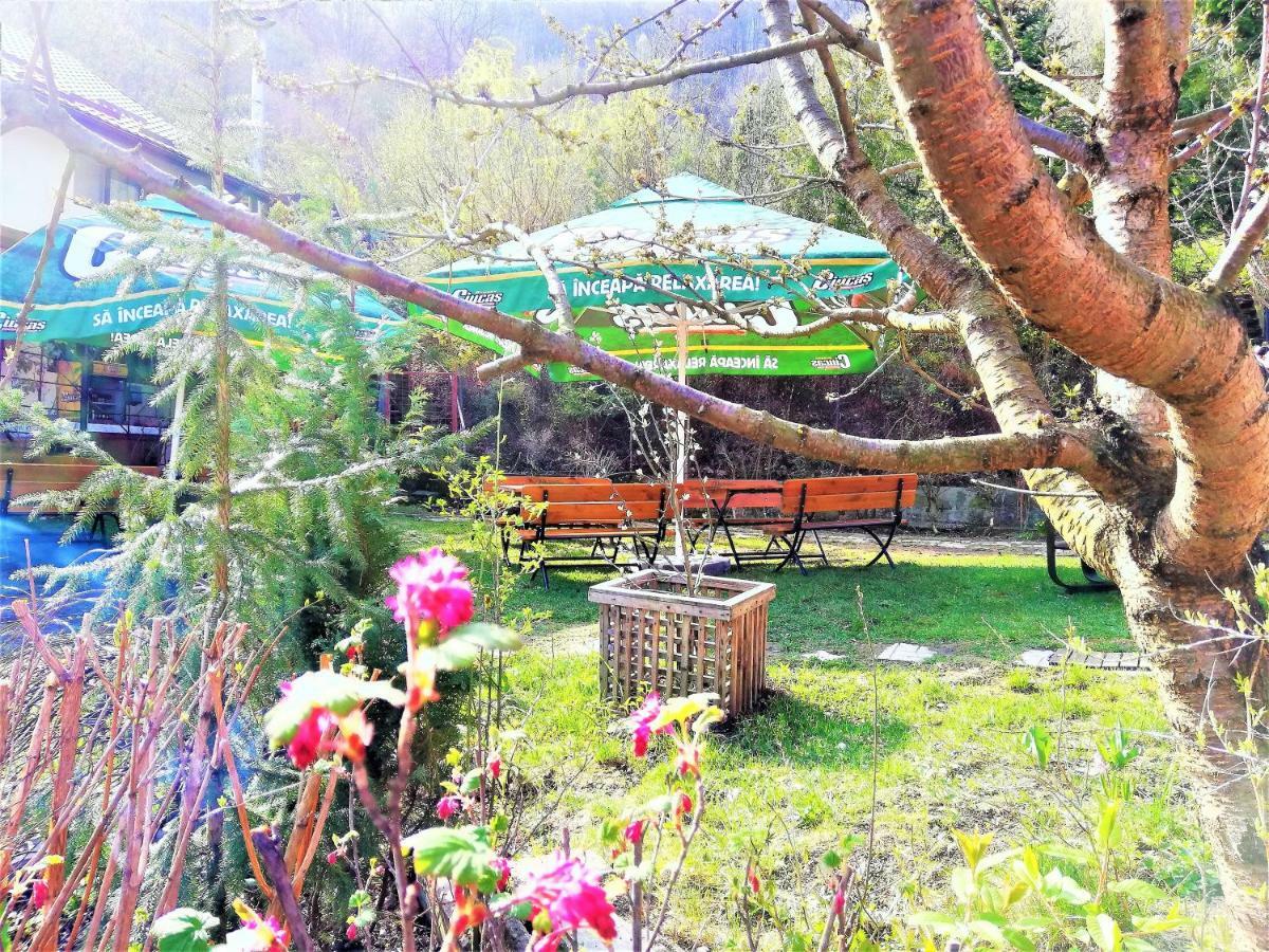 Leyla Guesthouse Castel ブラショフ エクステリア 写真