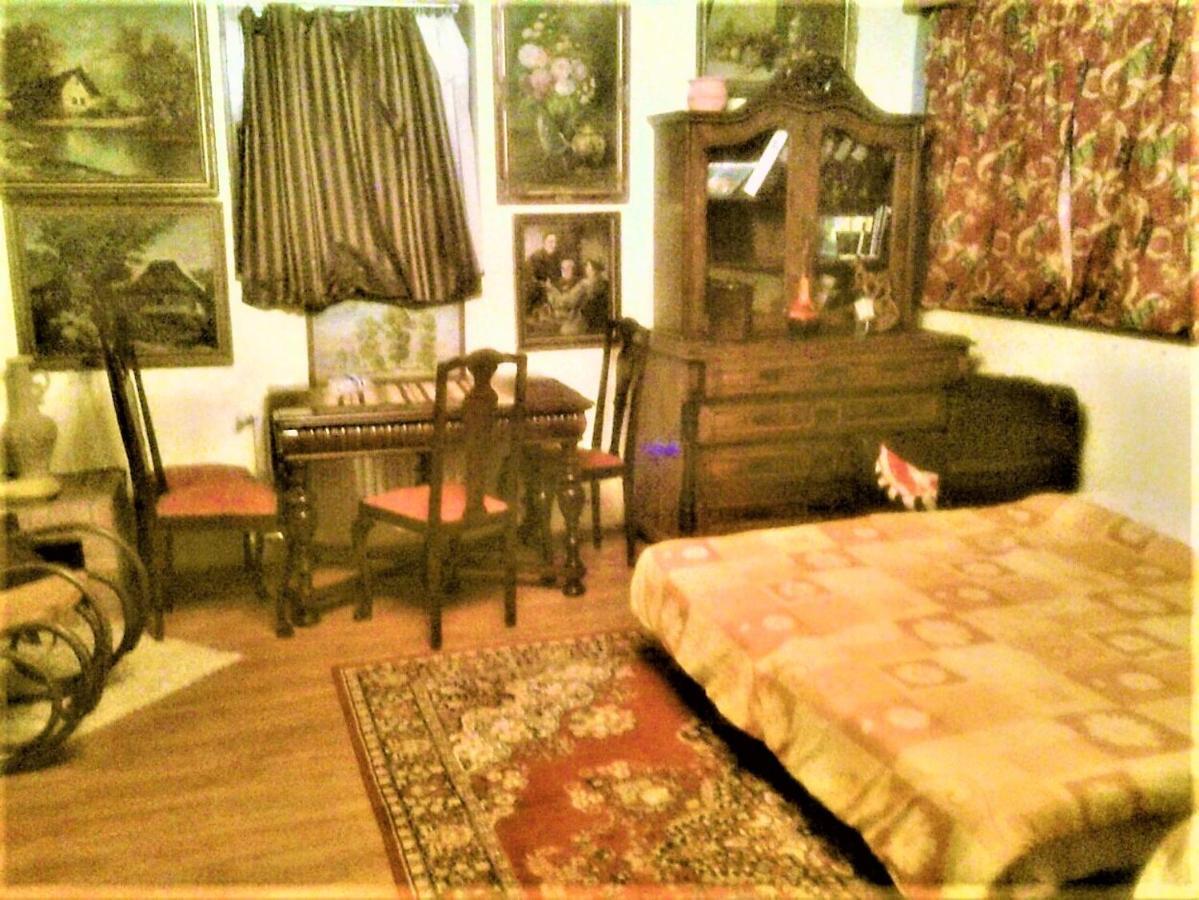 Leyla Guesthouse Castel ブラショフ エクステリア 写真