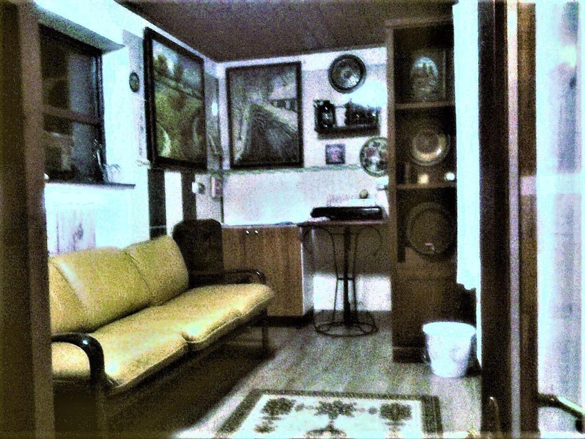 Leyla Guesthouse Castel ブラショフ エクステリア 写真
