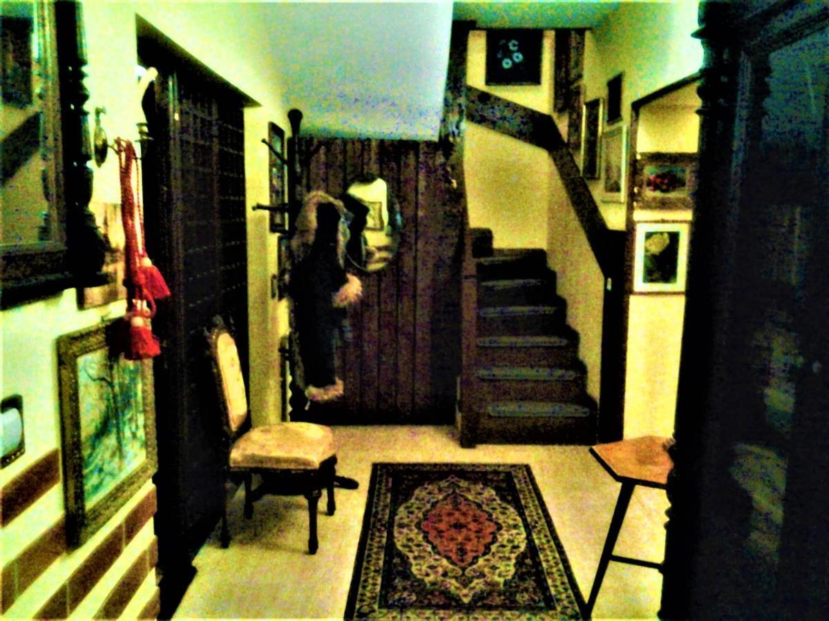 Leyla Guesthouse Castel ブラショフ エクステリア 写真
