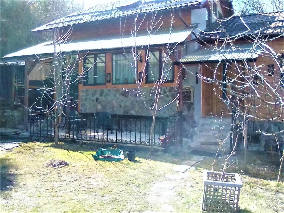 Leyla Guesthouse Castel ブラショフ エクステリア 写真