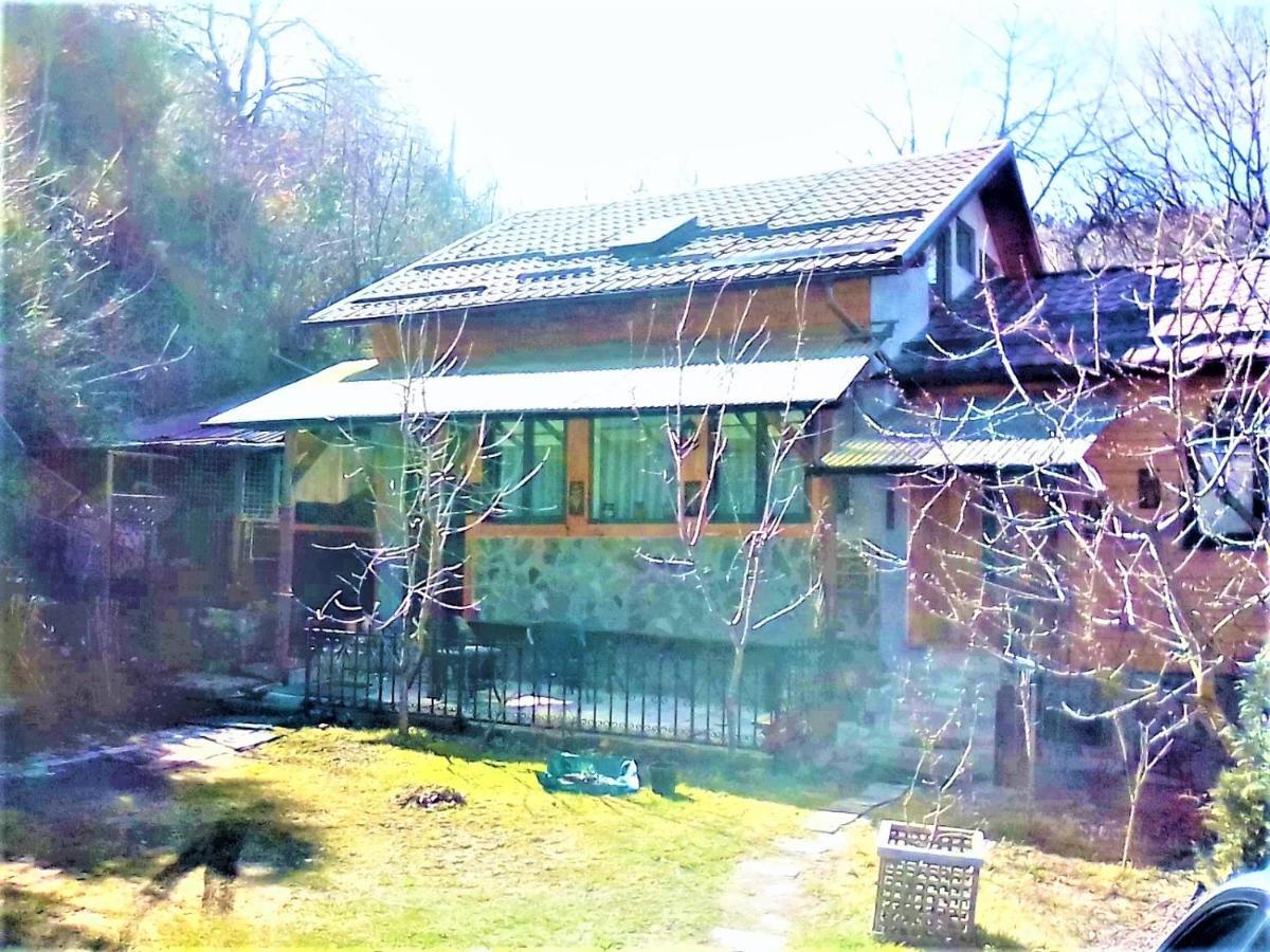 Leyla Guesthouse Castel ブラショフ エクステリア 写真