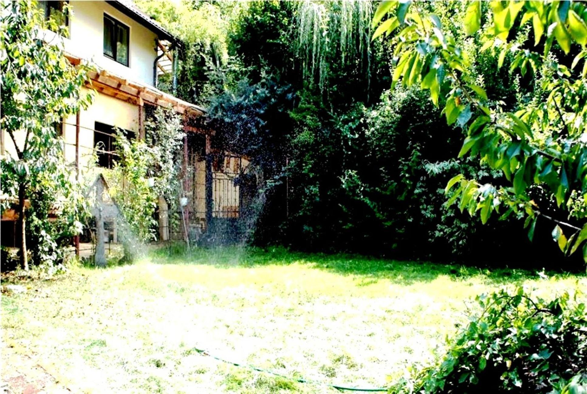 Leyla Guesthouse Castel ブラショフ エクステリア 写真